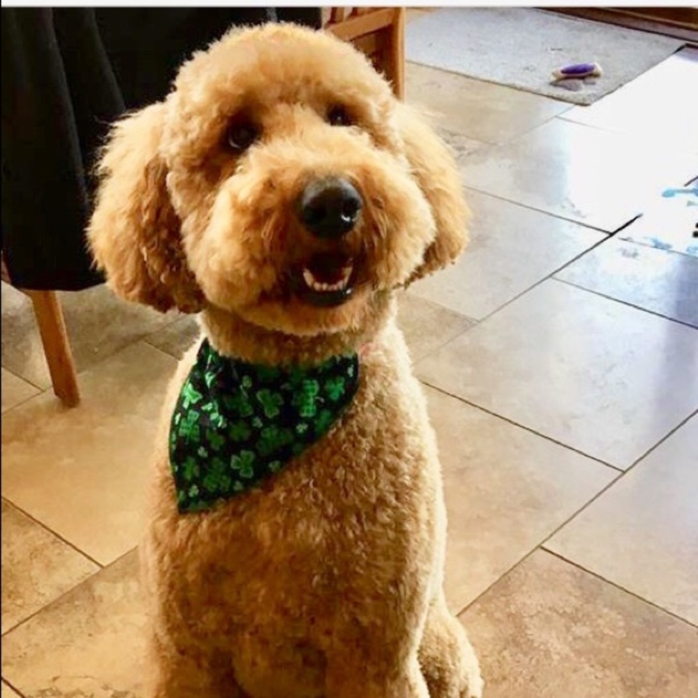 Meet your Posher, Kate